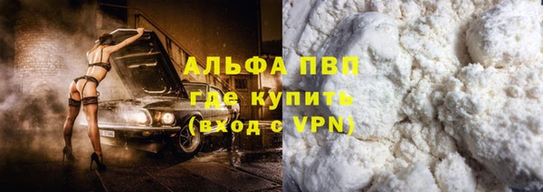 индика Киреевск