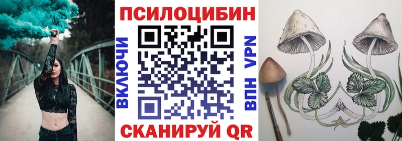 Купить где  Егорьевск  Псилоцибиновые грибы MAGIC MUSHROOMS 
